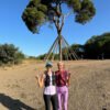 Running Tour in Barcelona - Collserola Park XL Tour, The Pin Tree - Run Fun Sights